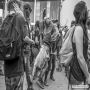 20160731_19-31-33_IMG_3076